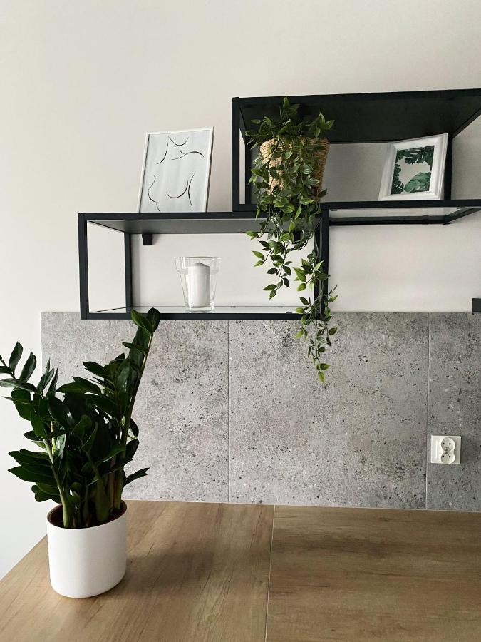 Igoaparts Wroblewskiego Lägenhet Łódź Exteriör bild